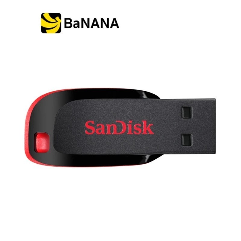 SanDisk USB Drive