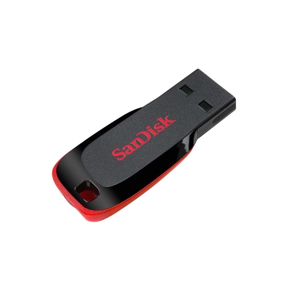 SanDisk USB Drive